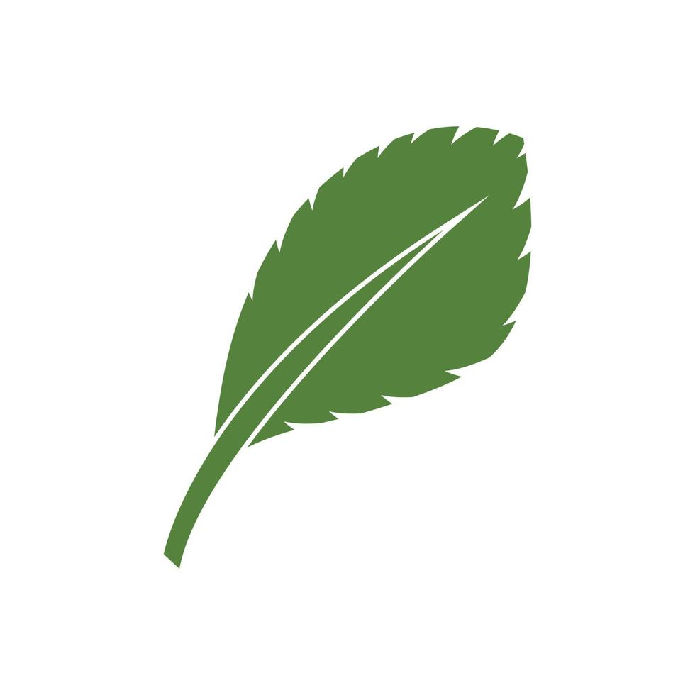 gröna blad illustration natur logotyp design vektor