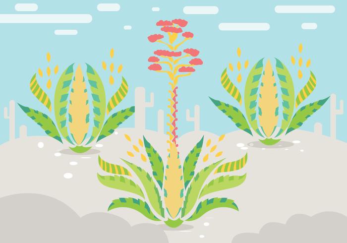 Maguey Illustration Vektor