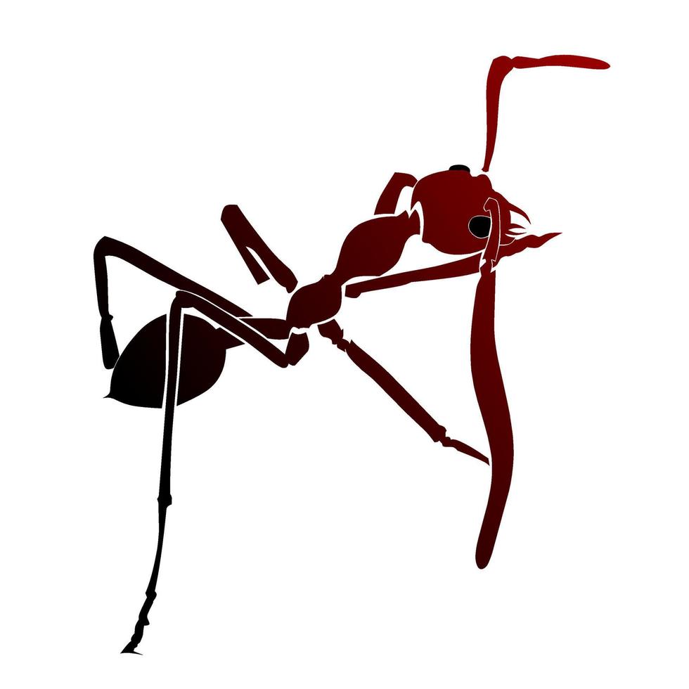 Roter Ameisenvektor oder Ameise, kann für Logos oder andere Illustrationen verwendet werden. vektor