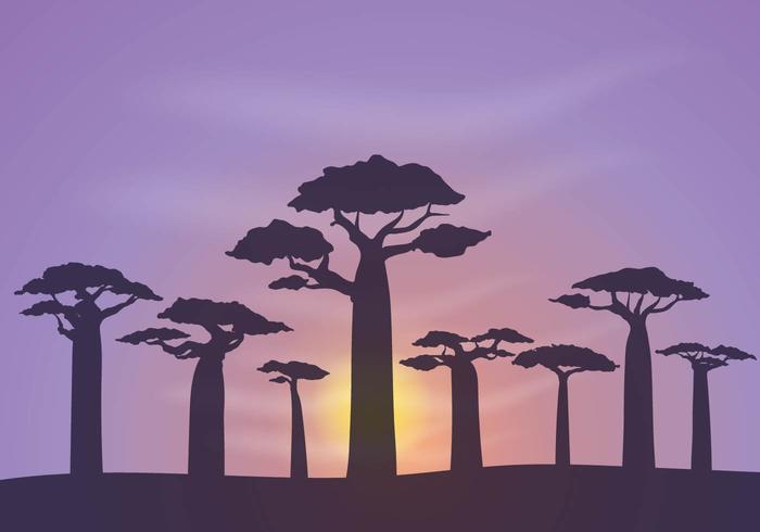 Gratis Baobab Bakgrund Vector