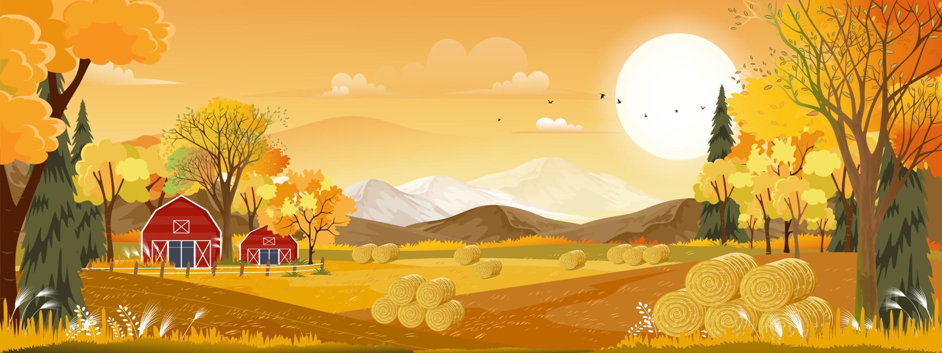 Vektorherbstpanoramalandschaftsbauernhoffeld mit orangefarbenem Himmel, schöner Sonnenuntergang im Herbstlandschaftspanoramablick mit gelbem Laub, Herbstsaison mit Kopienraum für Fahnenhintergrund vektor