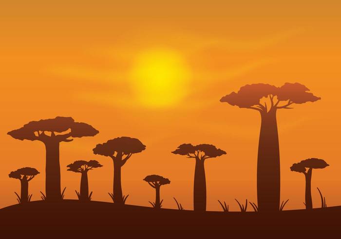 Free Baobab Vektor Hintergrund