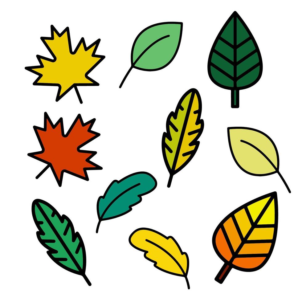 Vektorsatz verschiedener Herbstblätter vektor