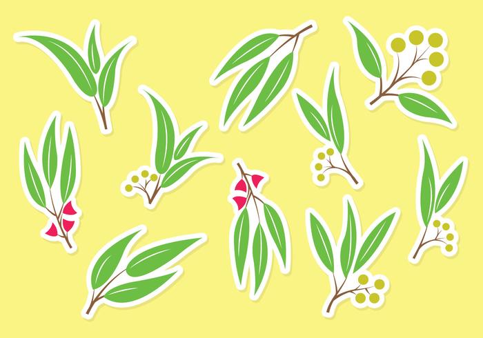 Gratis Eucalyptus Set Vector