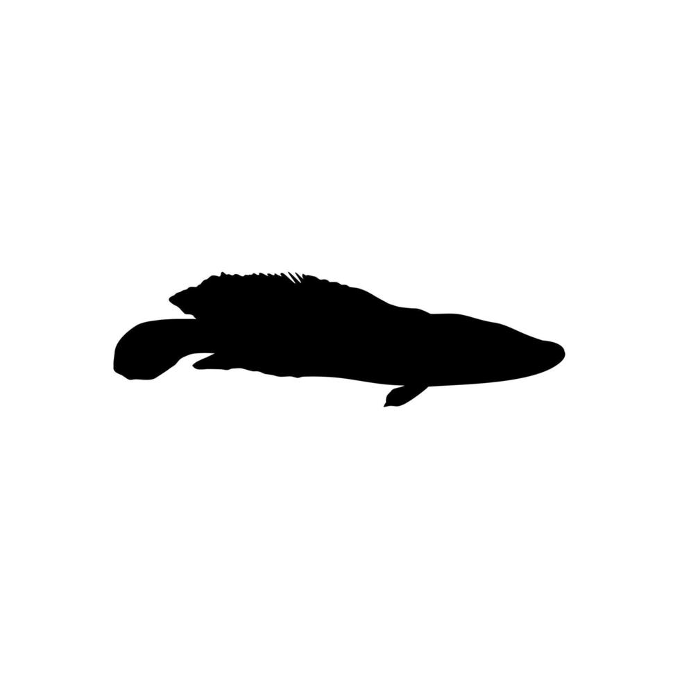 Schlangenkopffische, Süßwasserbarschfischfamilie Channidae, Fischsilhouette für Logo, Piktogramm oder Grafikdesignelement. Vektor-Illustration vektor