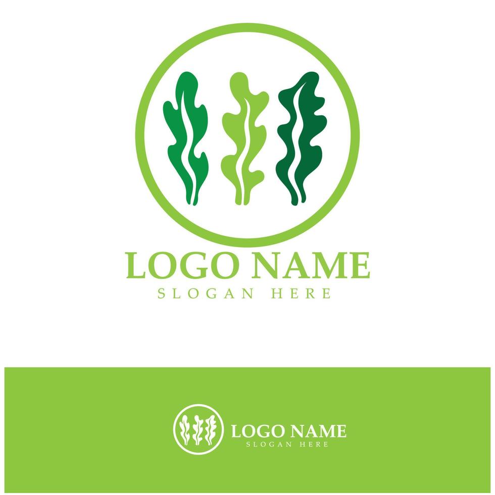 algen-vektor-logo-symbol-illustrationsdesign.umfasst meeresfrüchte,naturprodukte,floristen,ökologie,wellness,spa. vektor