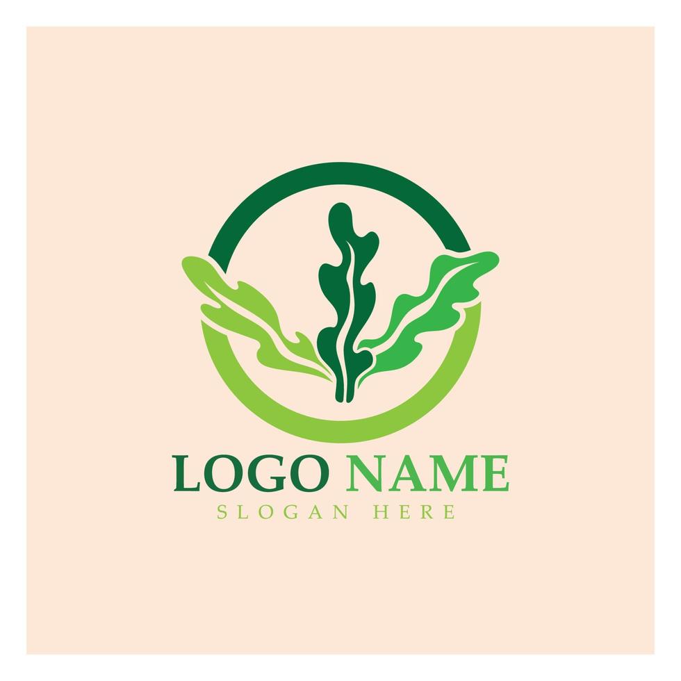 tång vektor logotyp ikon illustration design.inkluderar skaldjur, naturliga produkter, florist, ekologi, wellness, spa.