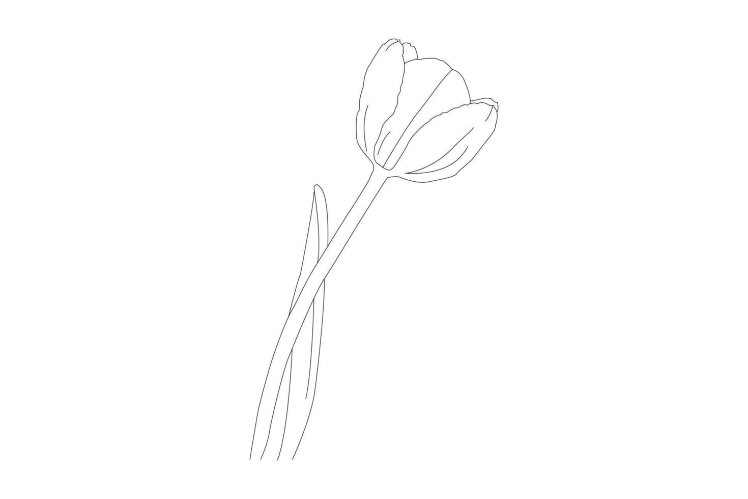 vektorillustration, kdp-malseite, vektorumrissblumen. Strichzeichnungen Malvorlagen mit Rosen und Blättern vektor