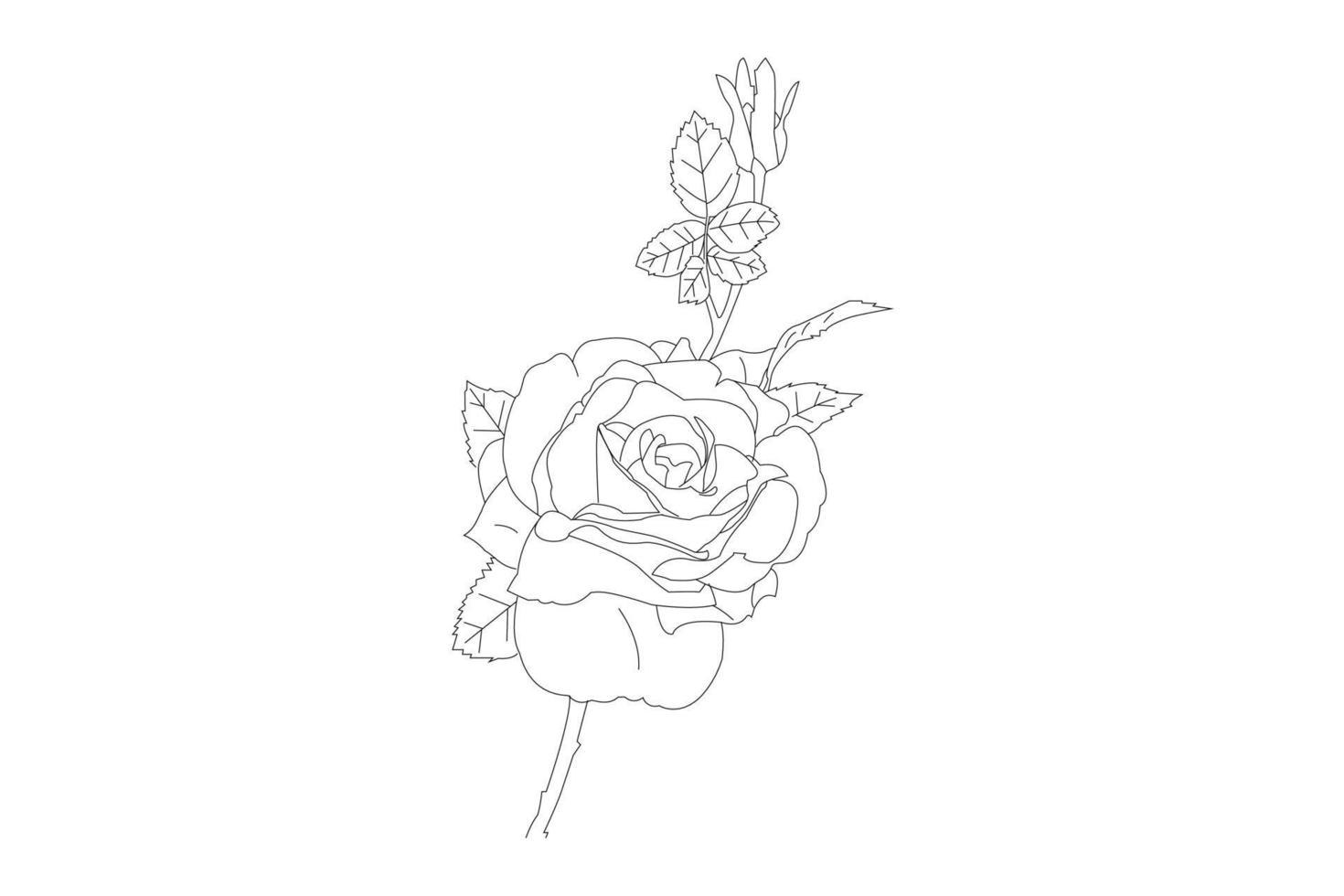 vektor illustration, kdp färg sida, vektor översikt blommor. linje konst färg sida med ro och löv