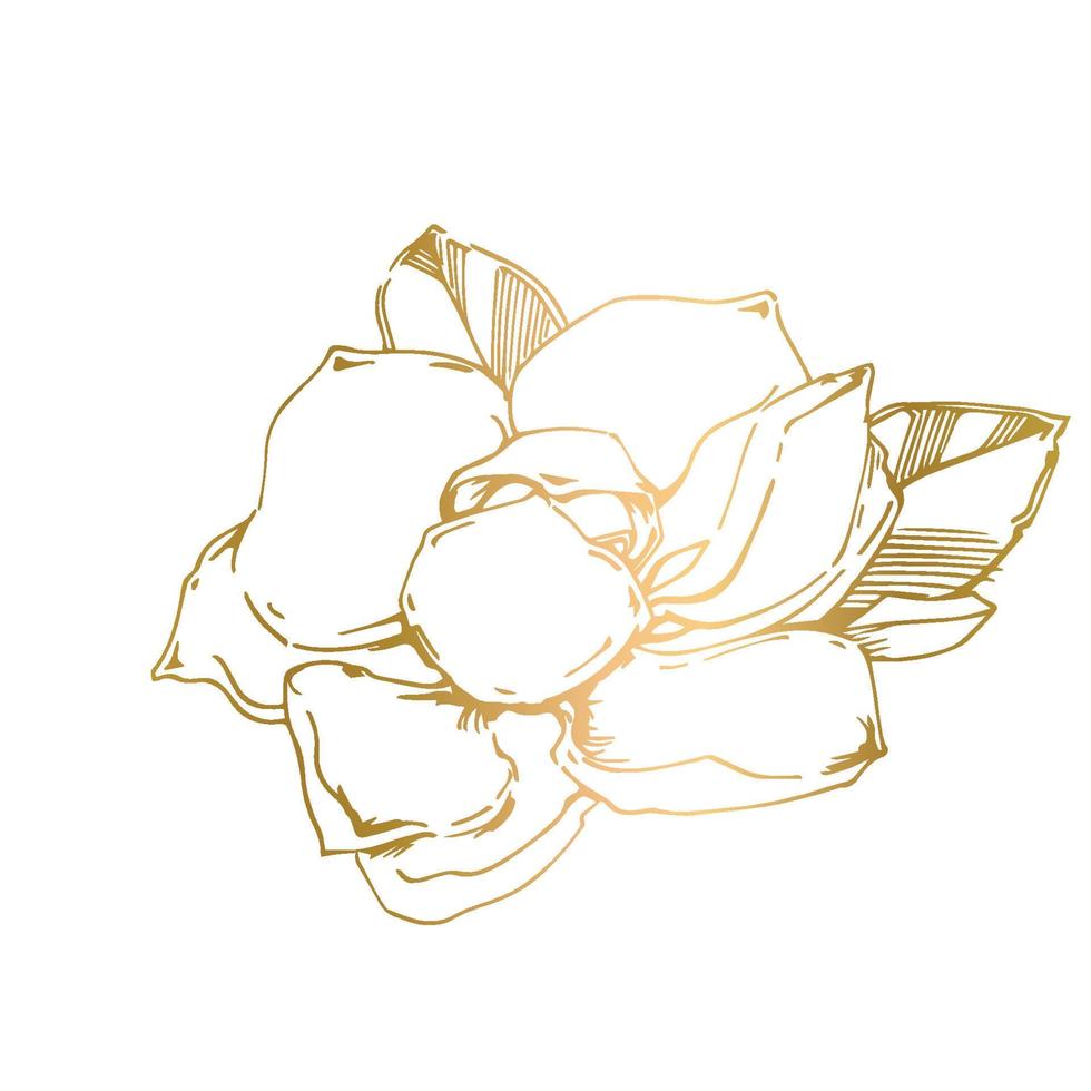 vektor skiss av svart handmålad magnolia blomma