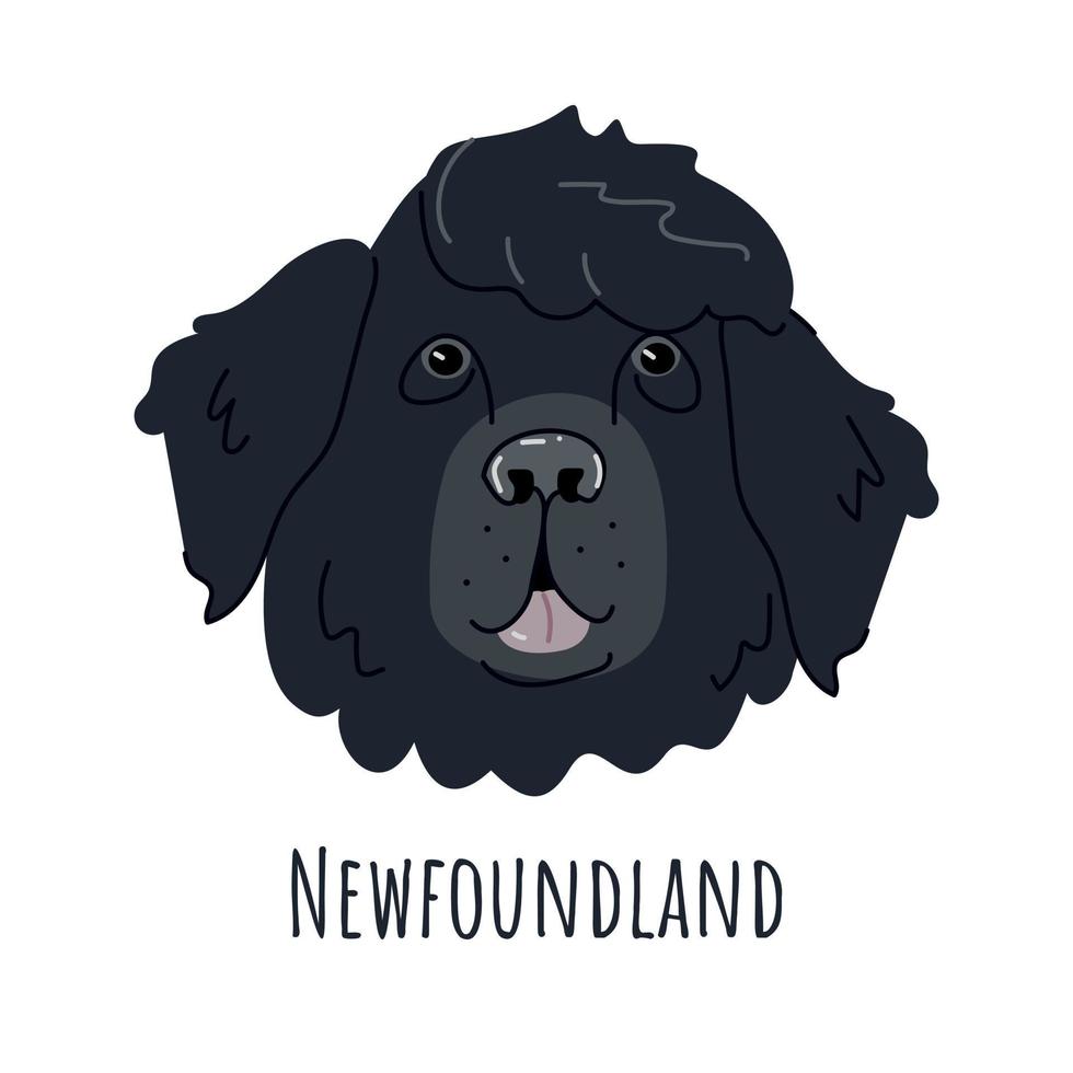 Hundegesicht von Neufundland vektor
