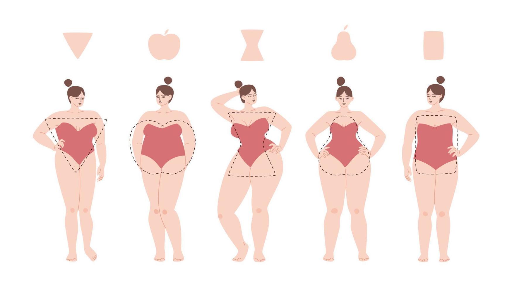 hübsche Frauen sind die Körpertypen Apfel, Dreieck, Sanduhr und Rechteck. Diverse Frauen in Badeanzügen stehen in einer Reihe. vektorillustration von übergewichtigen molligen mädchen isoliert. vektor