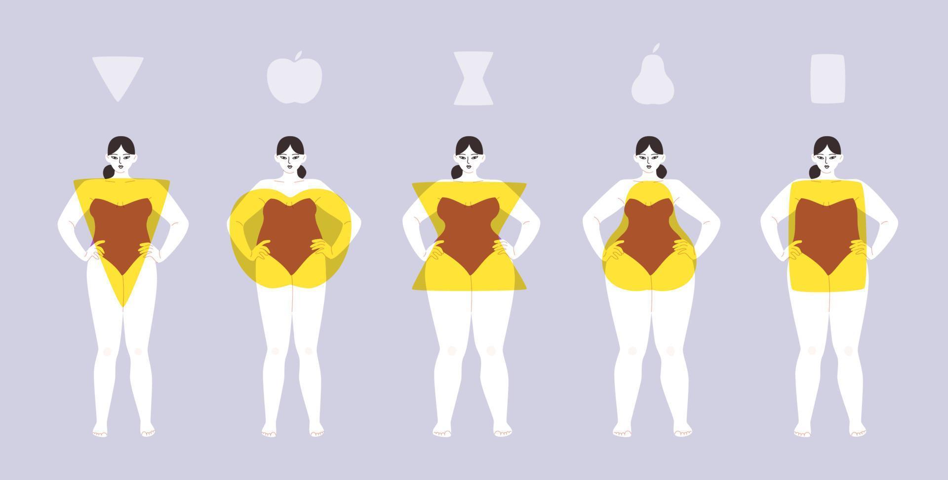kvinnor av annorlunda kropp typer isolerat. vektor illustration av knubbig flickor med triangel, cirkel, timglas och rektangel tecken. kurvig kvinnor i baddräkter ha kvar deras händer på de midja.