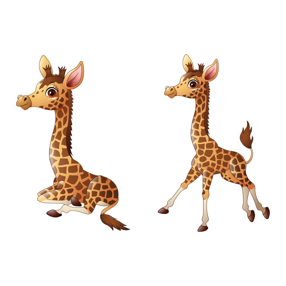niedliche giraffenkarikatur-illustrationssammlungen vektor