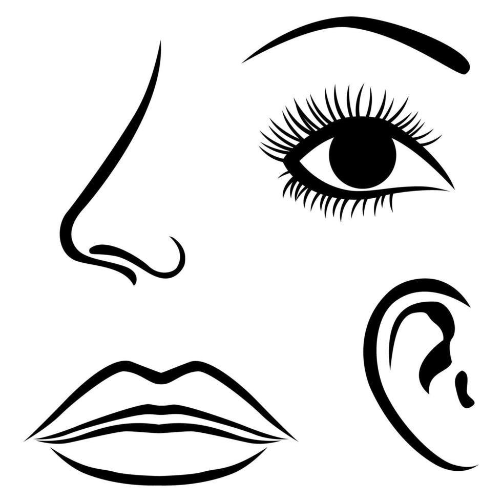 Augen, Nase, Lippen und Ohrsymbol vektor