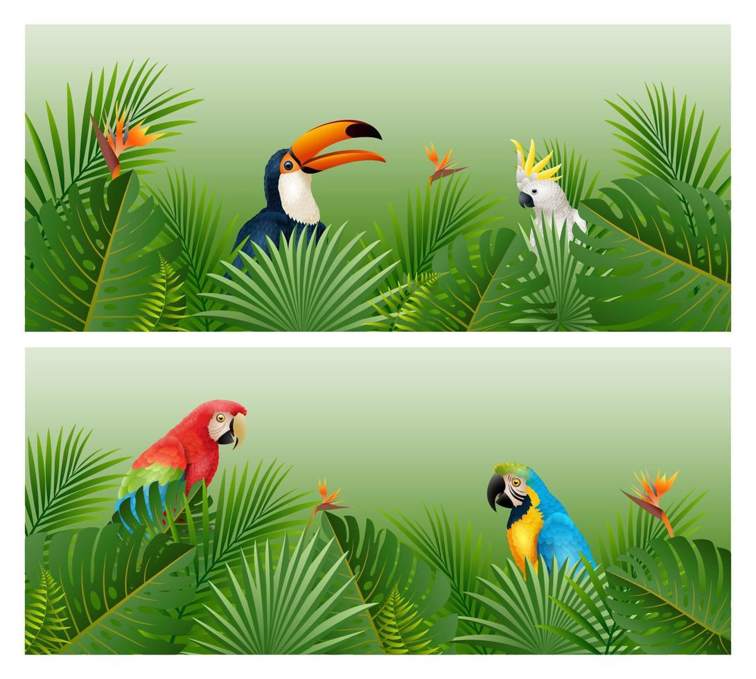 tropiska växter lämnar banner med fåglar vektor