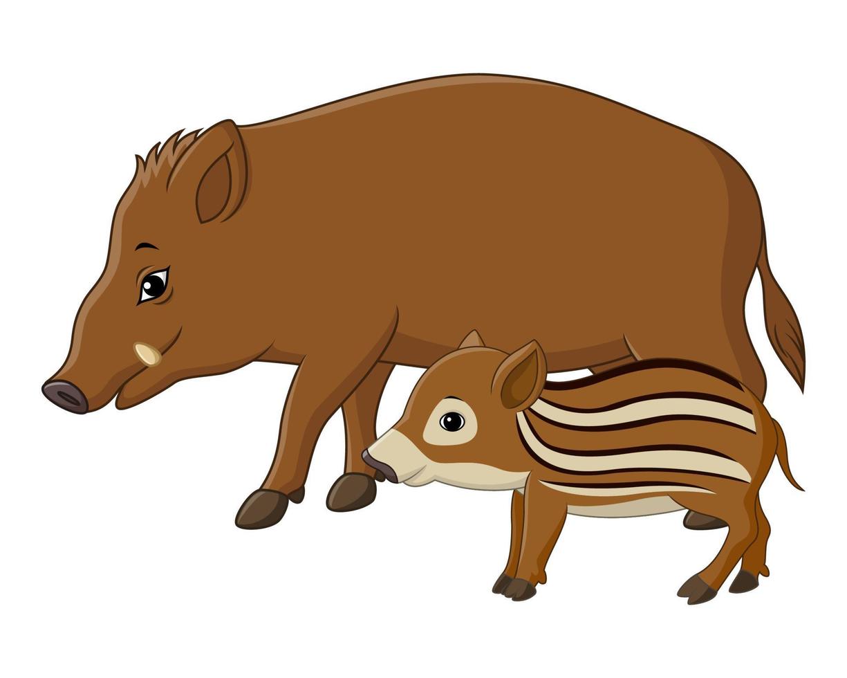 Cartoon-Wildschwein und Ferkel vektor