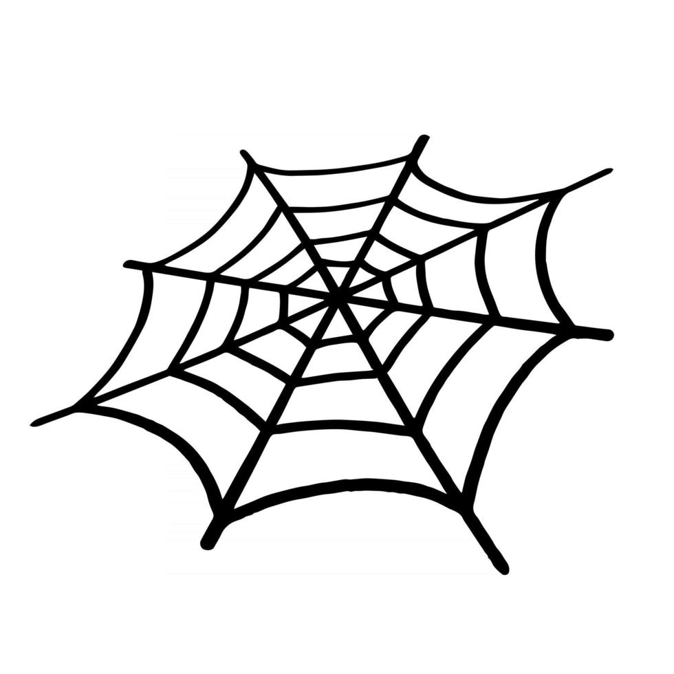 spindelnät. vektor illustration