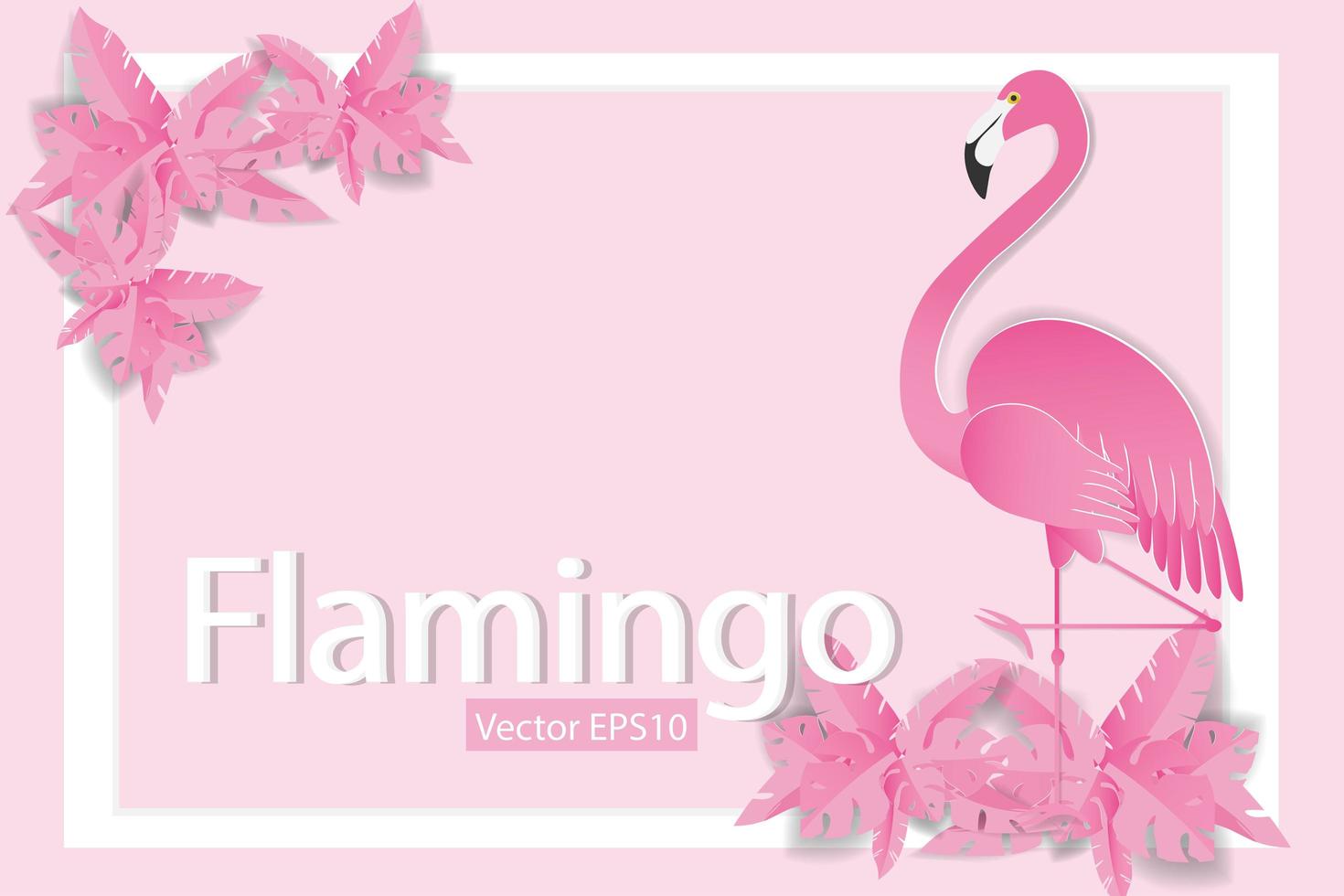 flamingo på rosa bakgrund med vit ram vektor