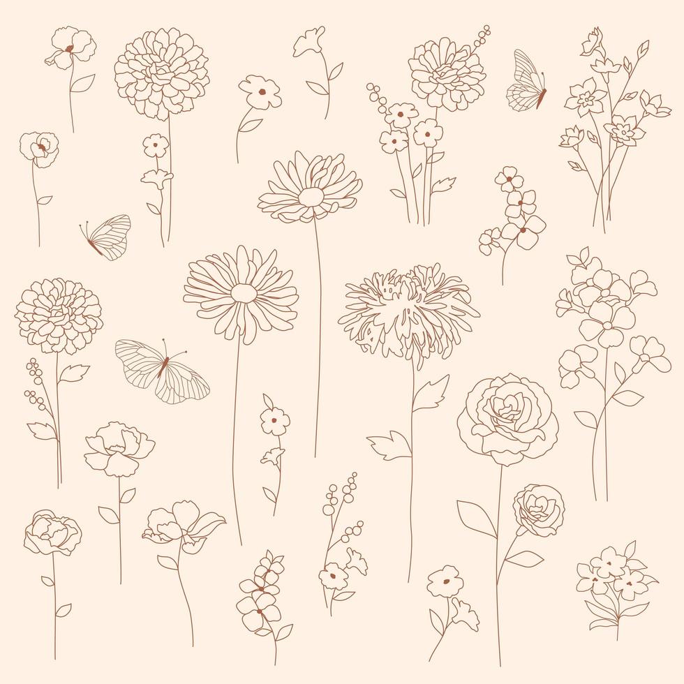 handgezeichnetes florales botanisches Set vektor