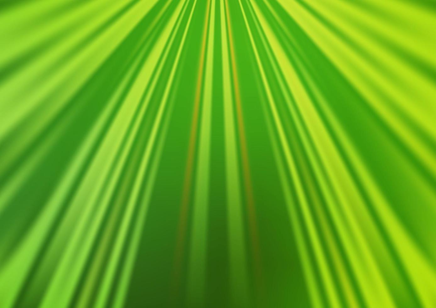 hellgrüne Vektortextur mit farbigen Linien. vektor