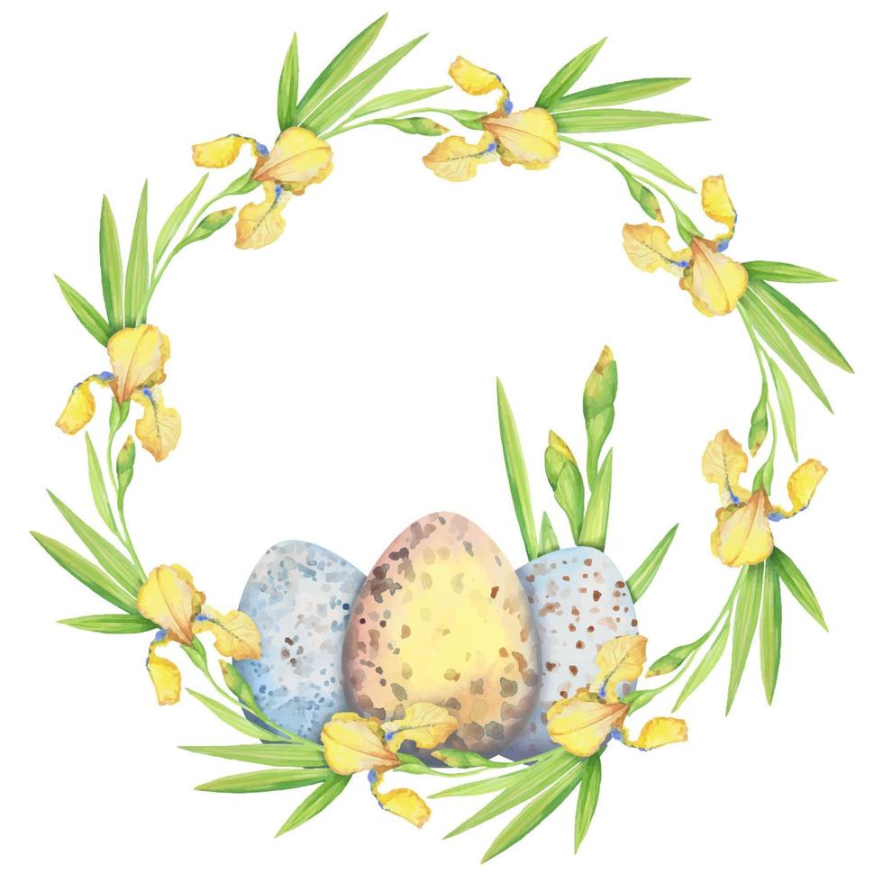 osterkranz mit gelben blumeniris und eiern, aquarellillustration. florale Kreisgrenze. Handzeichnung zum Bedrucken von Stoff, Dekoration, Tapete, Geschenkpapier vektor