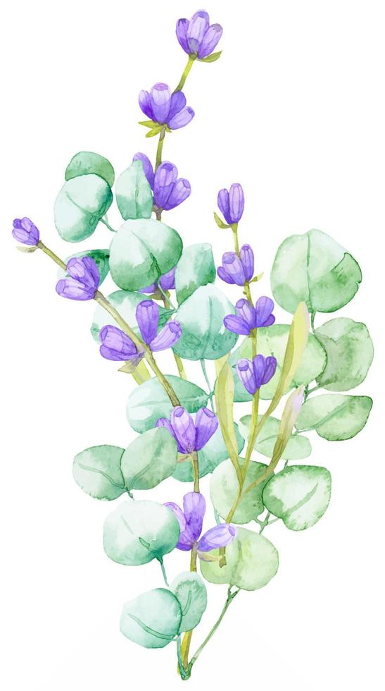 ein Bouquet aus grünen Eukalyptusblättern und lila Lavendel. aquarellillustration handgezeichneter eukalyptuszweig mit lavendelblüten vektor