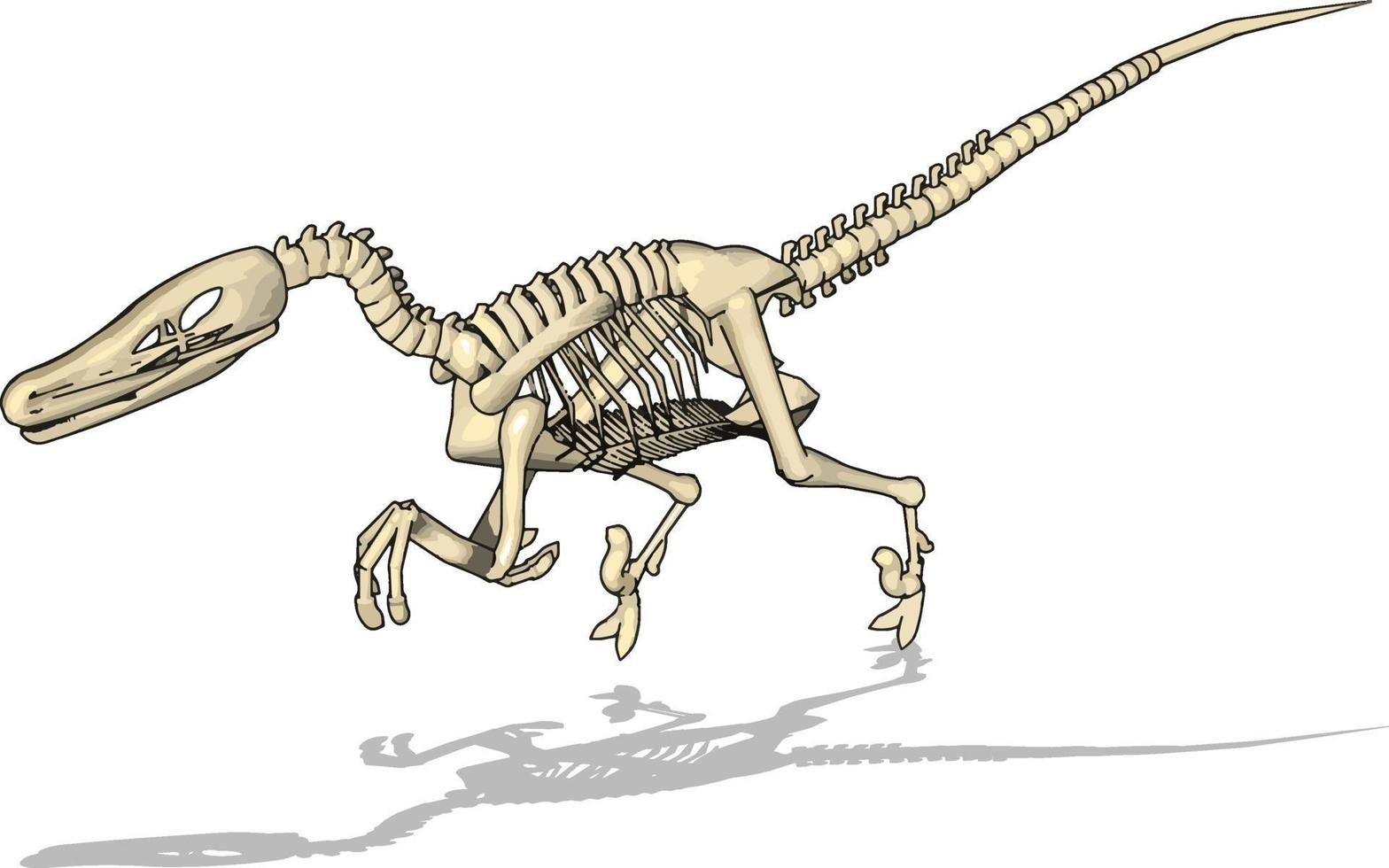 Dino-Skelett, Illustration, Vektor auf weißem Hintergrund.