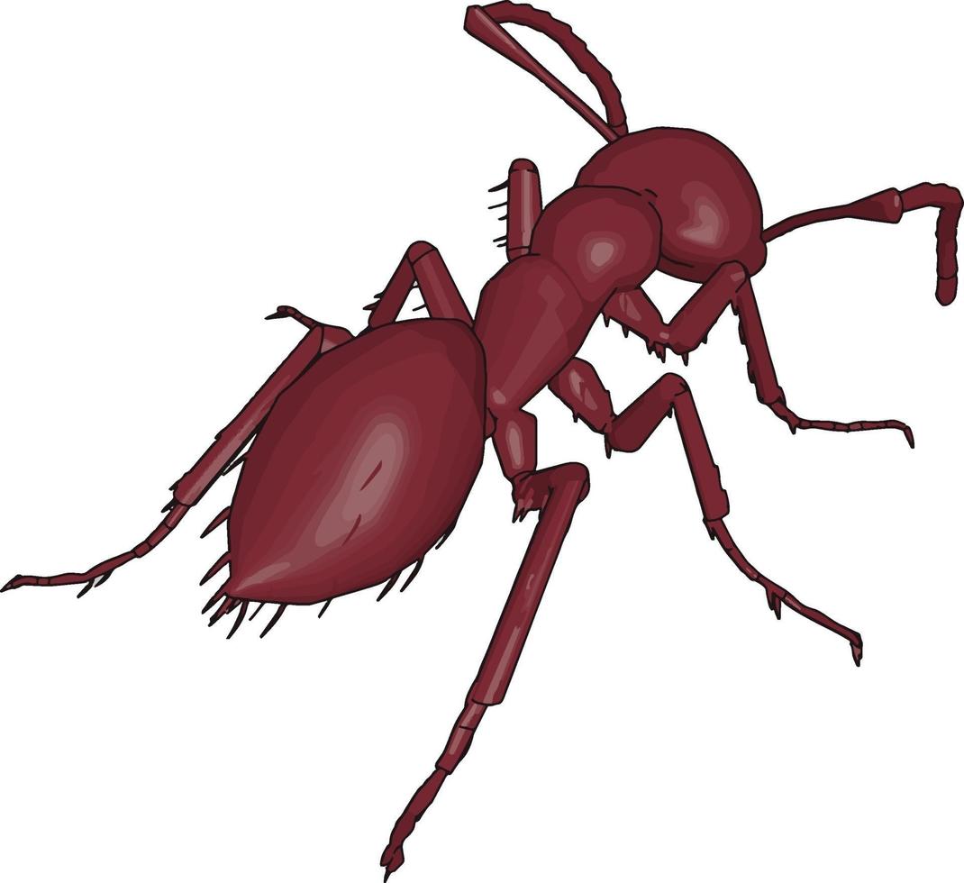 Rückseite einer 3D-Ameise, Illustration, Vektor auf weißem Hintergrund.