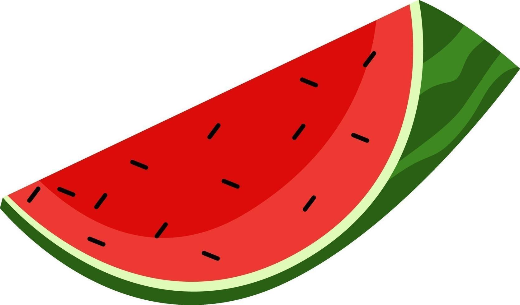 frische Wassermelone, Illustration, Vektor auf weißem Hintergrund