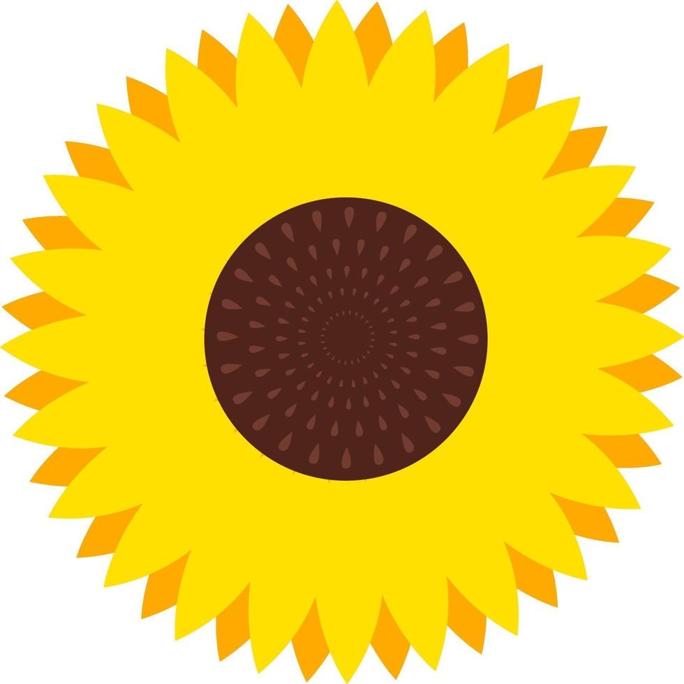 Sonnenblumenblume, Illustration, Vektor auf weißem Hintergrund