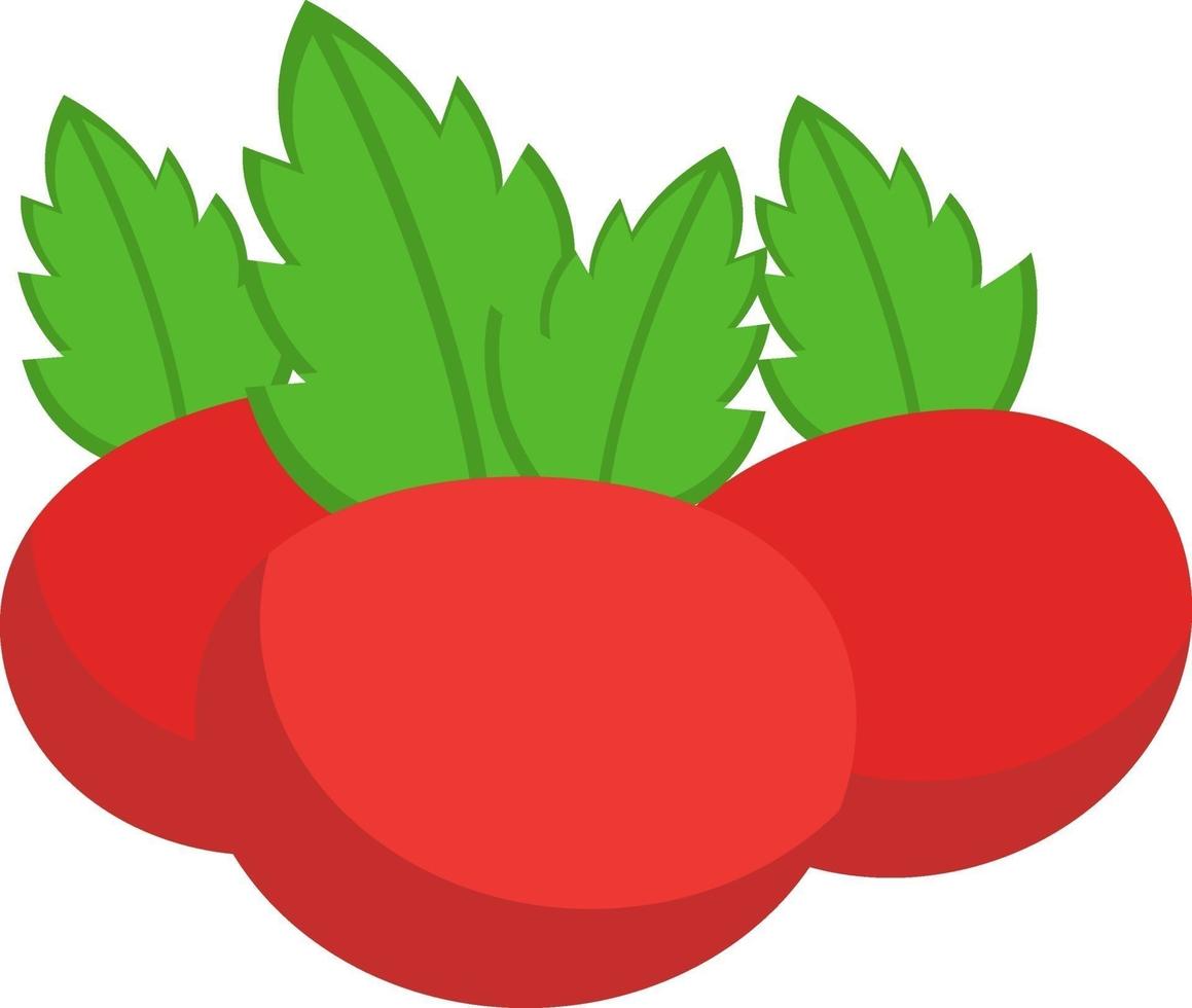 frische Tomaten, Illustration, Vektor auf weißem Hintergrund