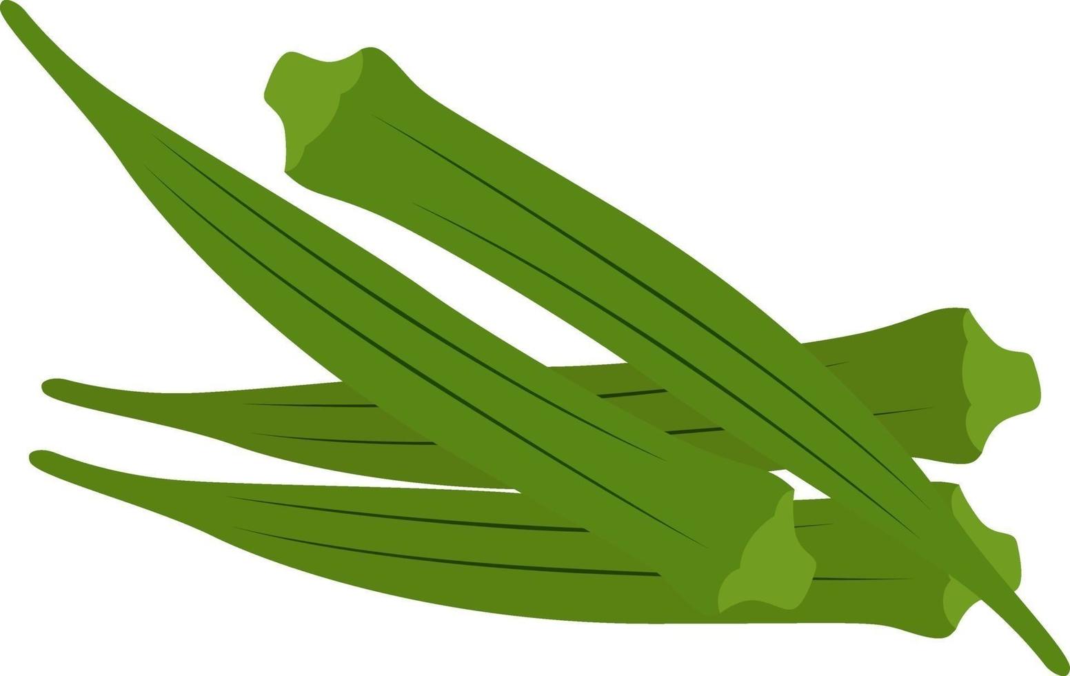 grön okra, illustration, vektor på vit bakgrund