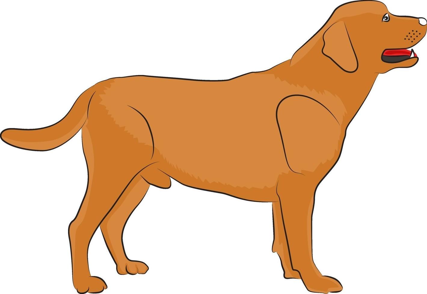 brun hund, illustration, vektor på en vit bakgrund.