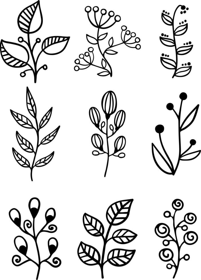 Streifen kritzeln Blumen- und Blattfreihandzeichnungs-Skizzenvektor. einfacher Stil vektor