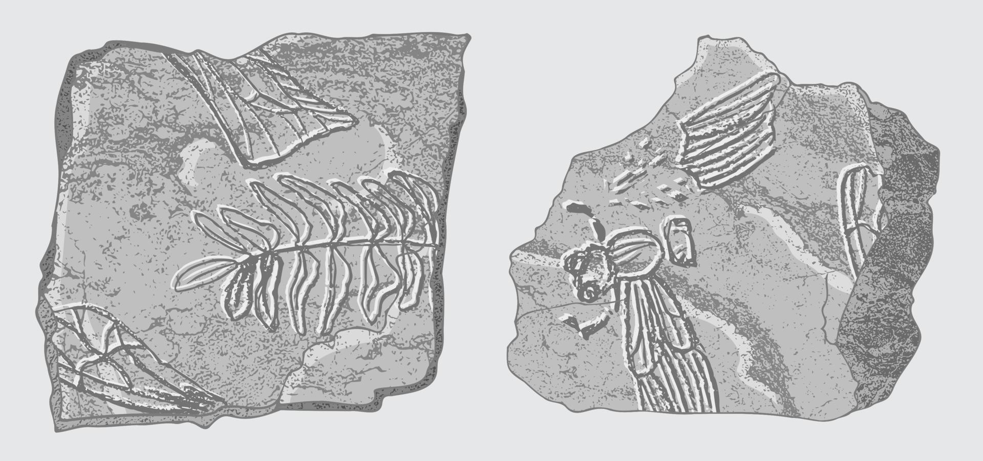 sten med avtryck av skelett av förhistorisk djur, insekter och växter. grå arkeologi, spricka stenar fragment , skräp stenblock. uppsättning av realistisk hand dragen konst. vektor illustration