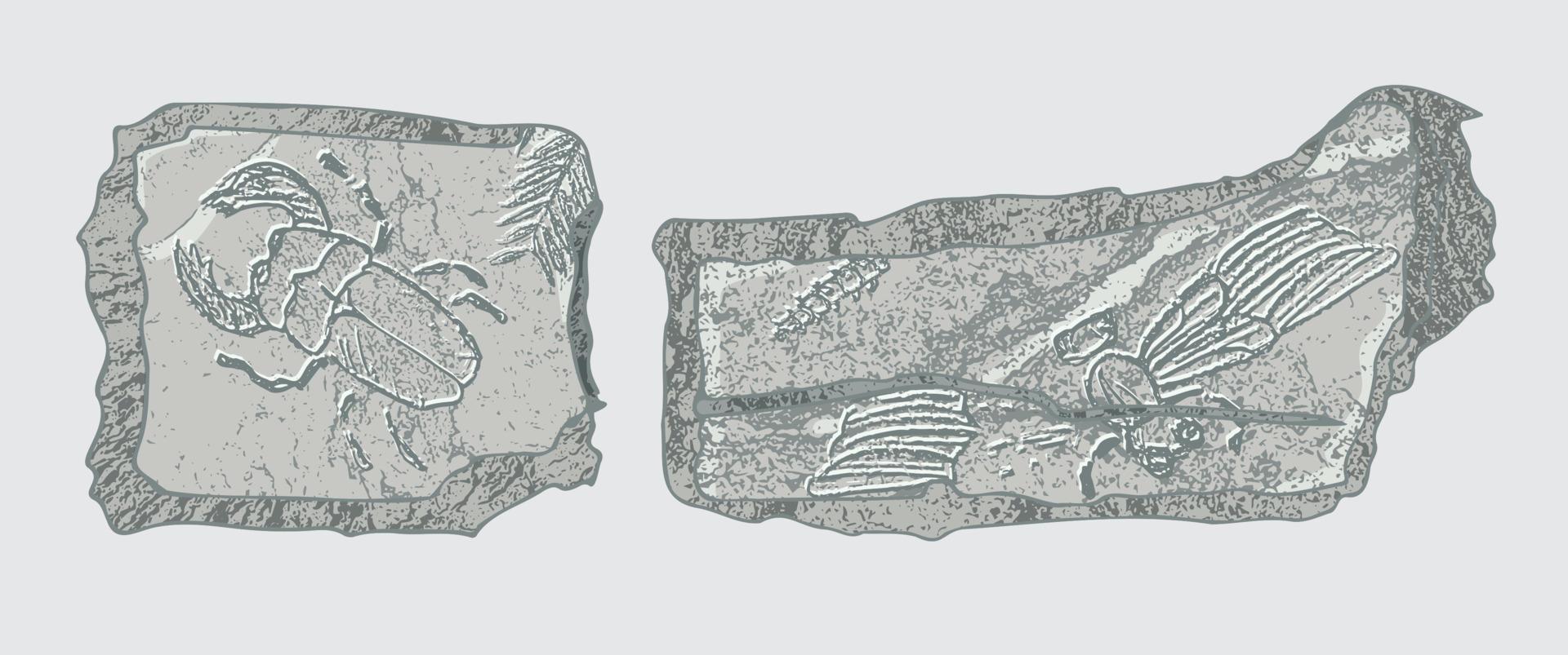 Stein mit Abdrücken von Skeletten prähistorischer Tiere, Insekten und Pflanzen. graue archäologie, bruchgesteinsfragmente, schuttbrocken. satz realistischer handgezeichneter kunst. Vektor-Illustration vektor