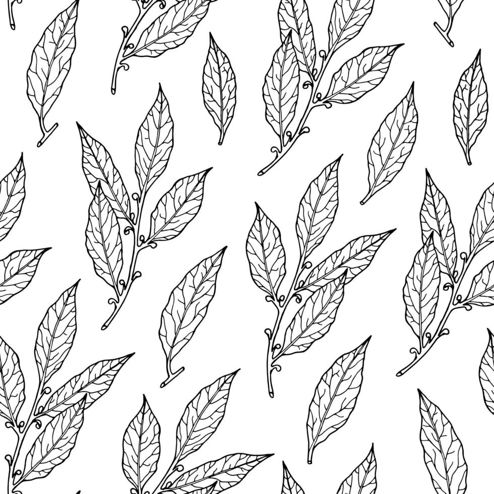 sömlös mönster med bukt löv. hand dragen illustration för krydda förpackning, meny design och vegetabiliska affär etiketter. vektor