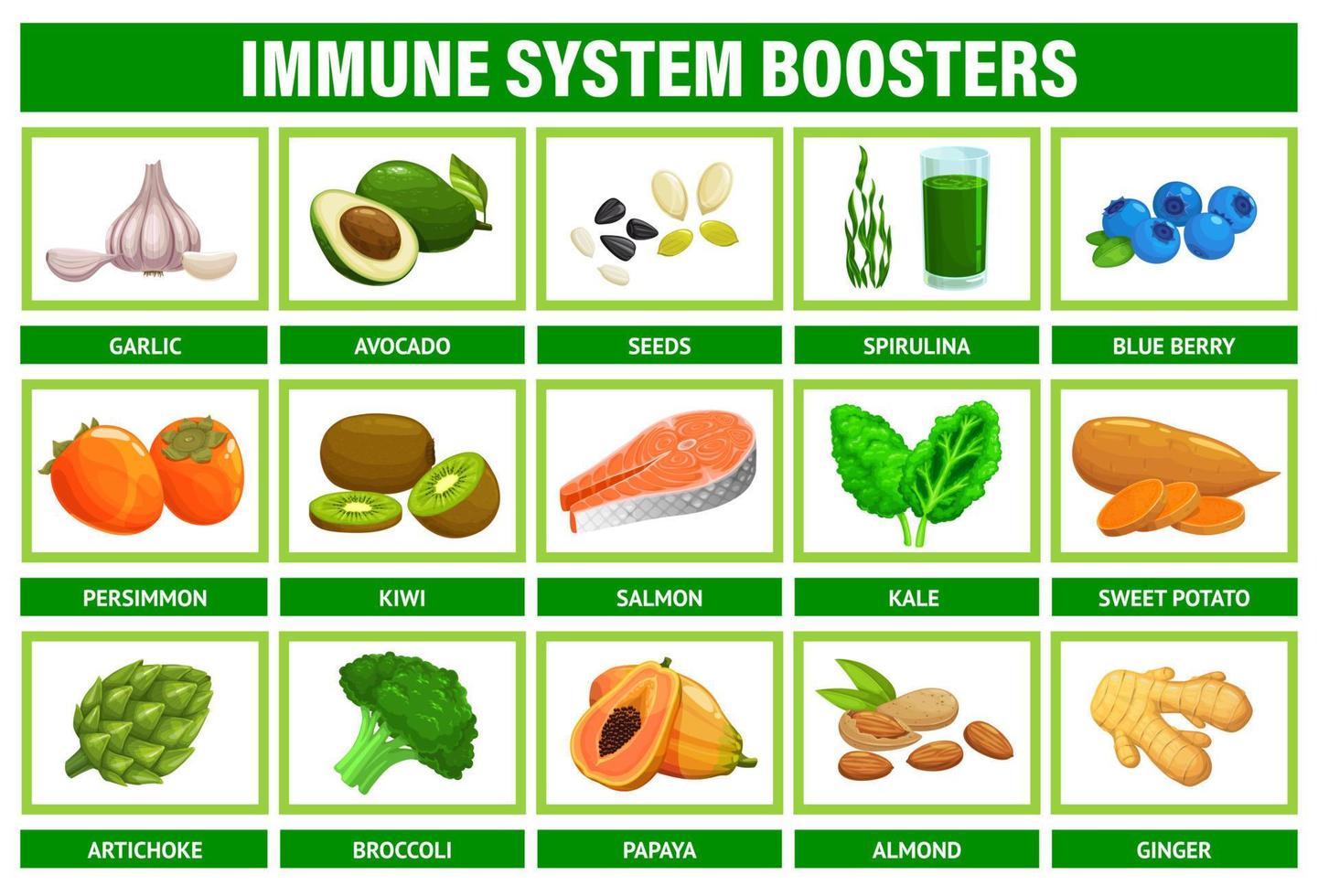 Immunsystem-Booster, Superfood, Obst, Gemüse vektor