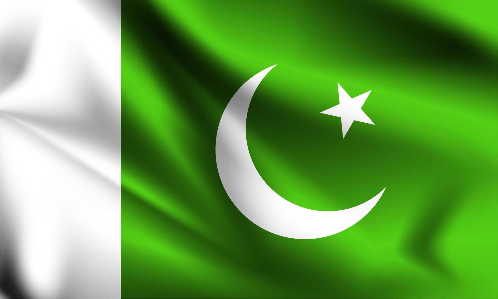 pakistan 3d flagga vektor