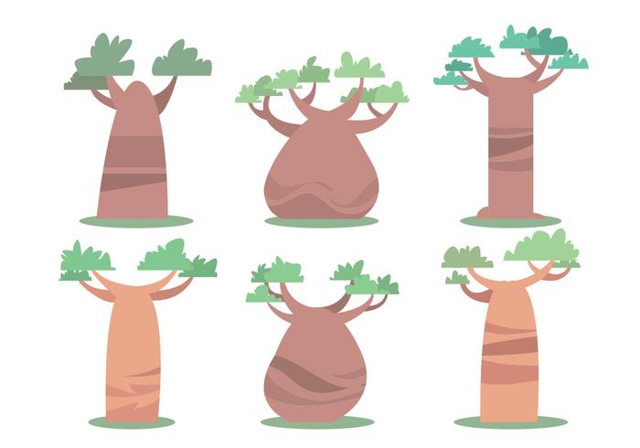 Baobab Vektor Set