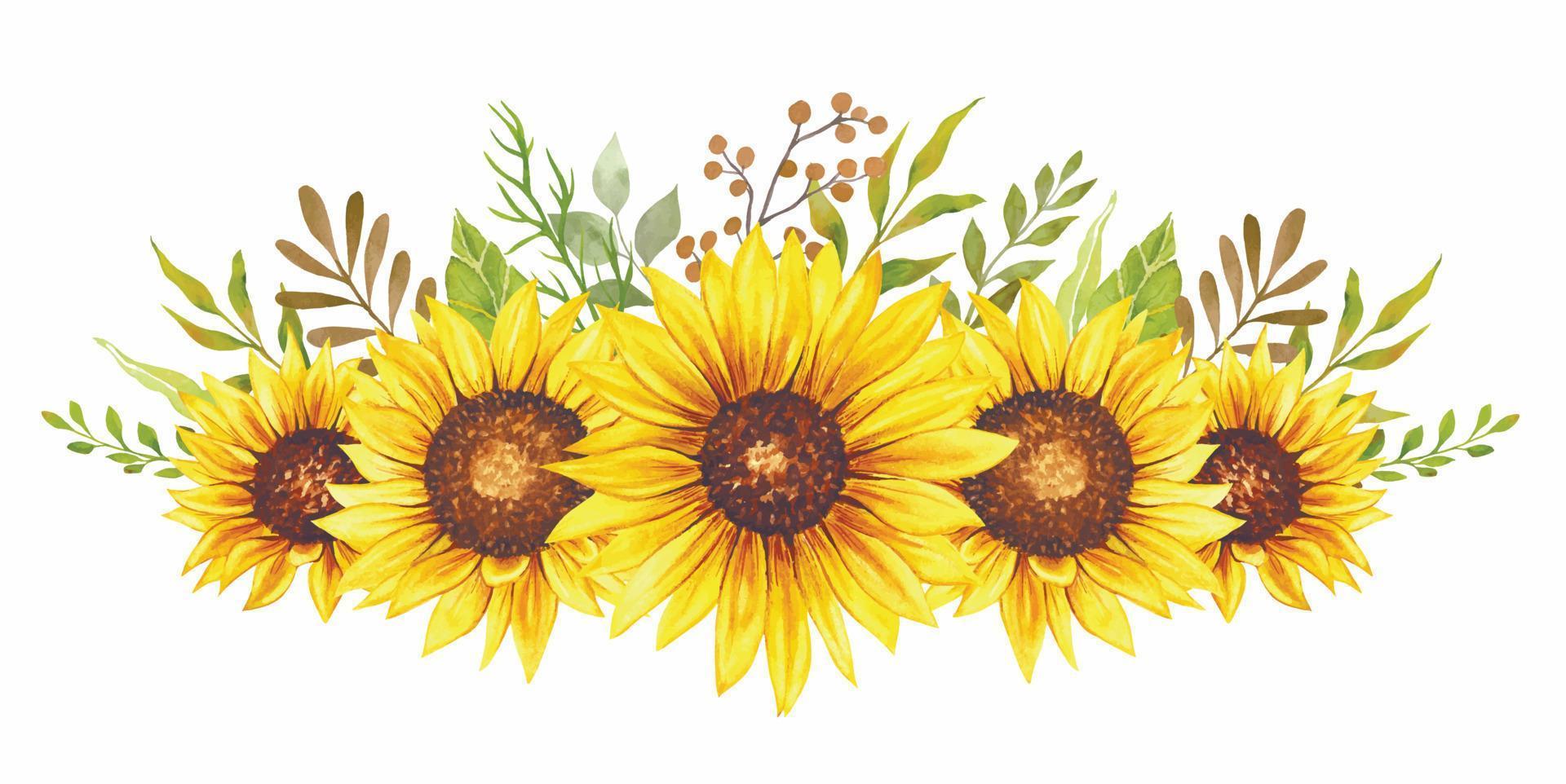 aquarell-sonnenblumenrahmen, sonnenblumen-arrangement, suflower-zusammensetzung vektor