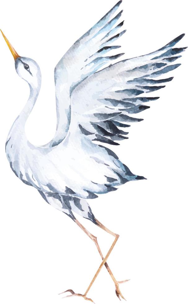 reihervögel aquarell lokalisiert auf weißem hintergrund.hand gezeichnete tierillustration.reihervogel. vektor