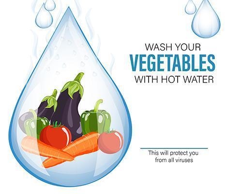 Waschen Sie Gemüse für Sicherheitsillustrationsdesign vektor