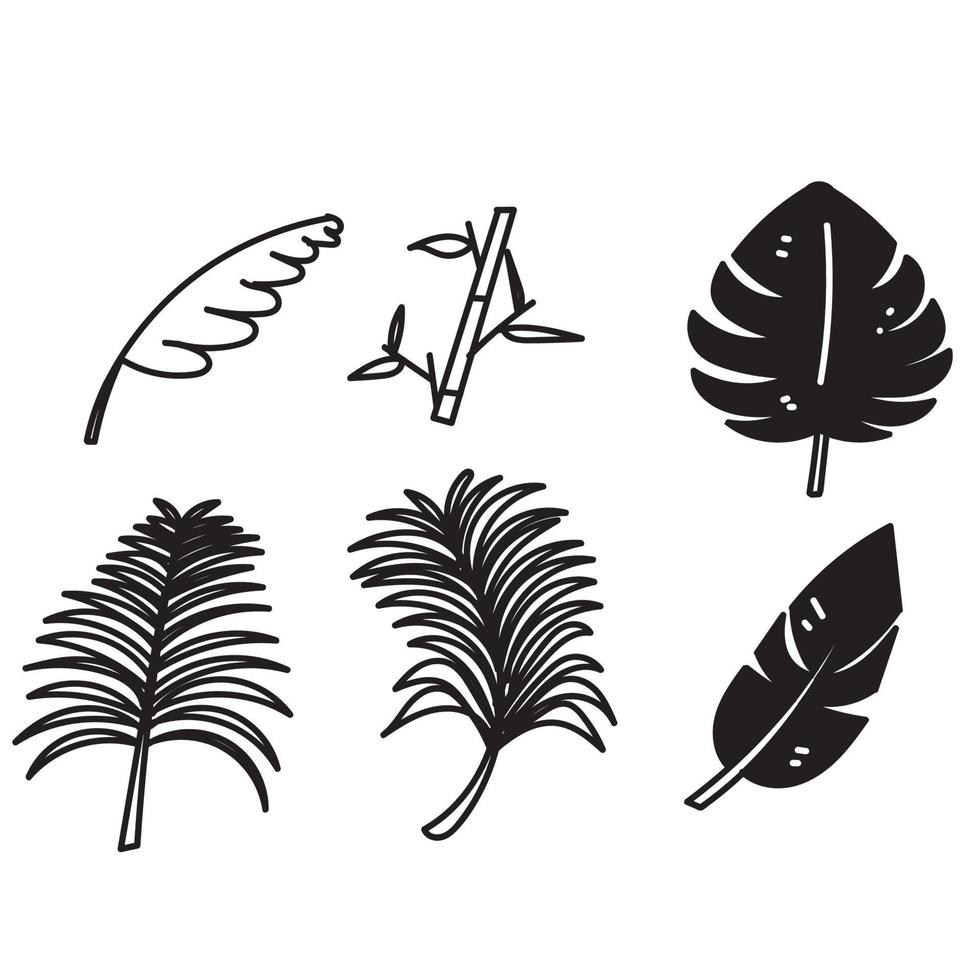 hand dragen klotter tropisk löv illustration vektor