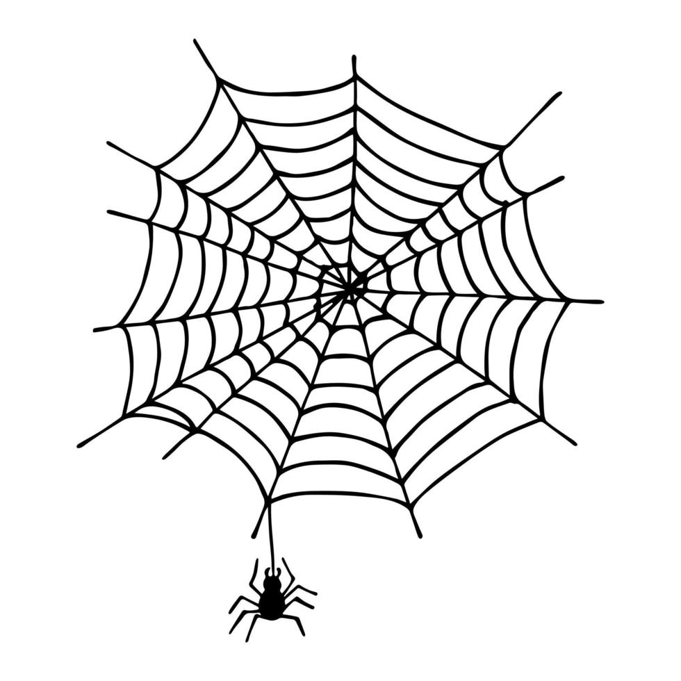 enkel hand dragen Spindel webb illustration. söt skir ClipArt. halloween klotter för skriva ut, webb, design, dekor, logotyp vektor