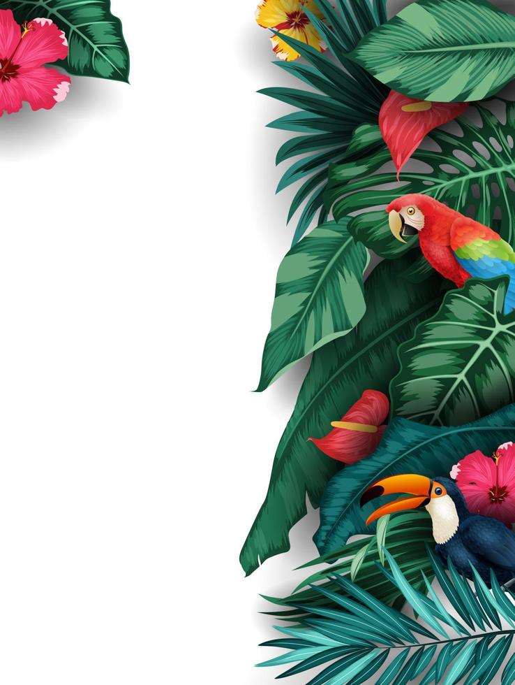 tropiska växter och fåglar samling set vektor