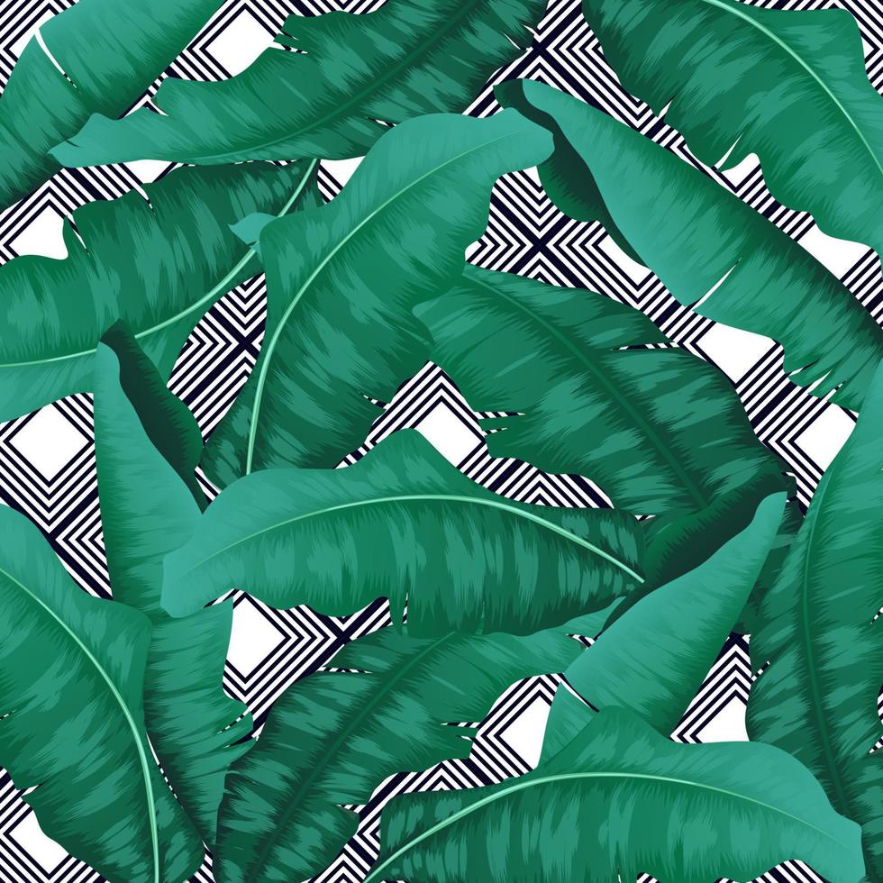 Satz tropischer Blätter. Bananenblätter isoliert grün auf gestreiftem Hintergrund vektor