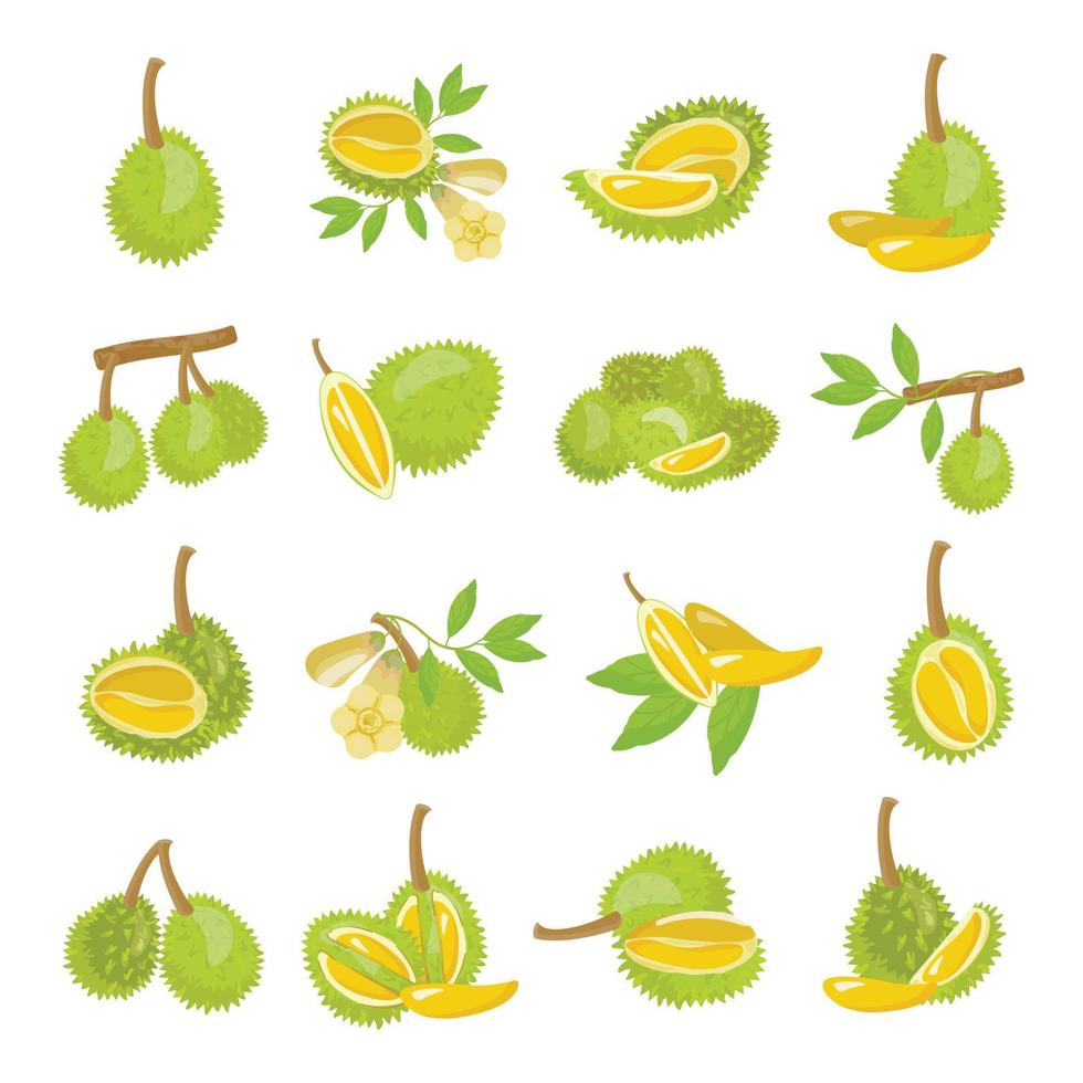 Durian-Symbole setzen Cartoon-Vektor. Musang-Frucht vektor