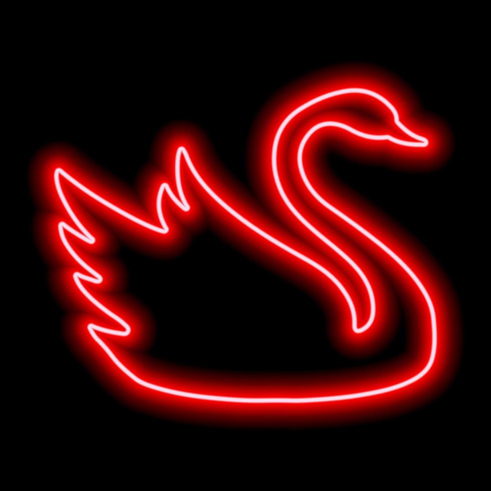 röd neon svan kontur på en svart bakgrund. flytande fågel vektor